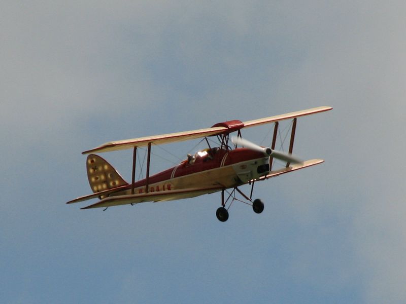 Tiger Moth